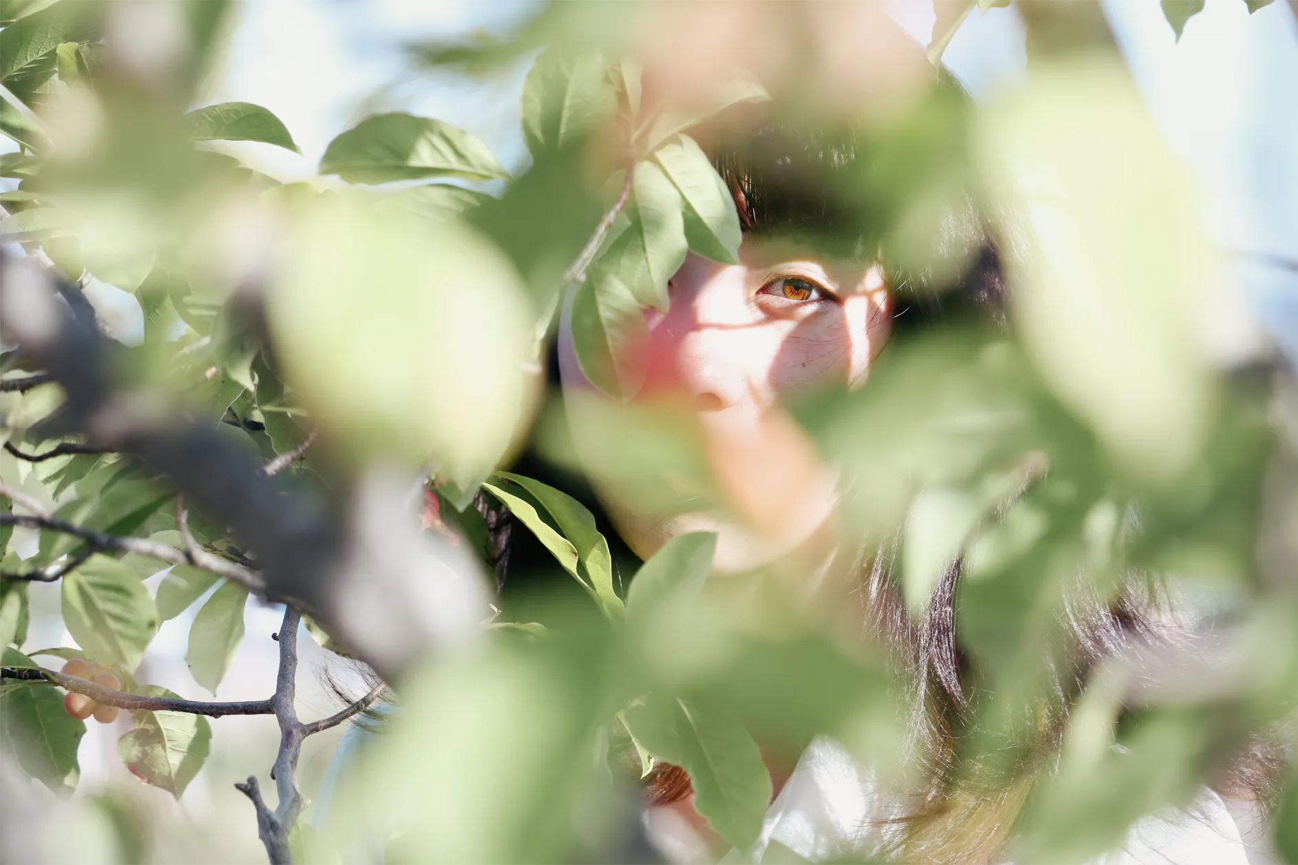 写真1