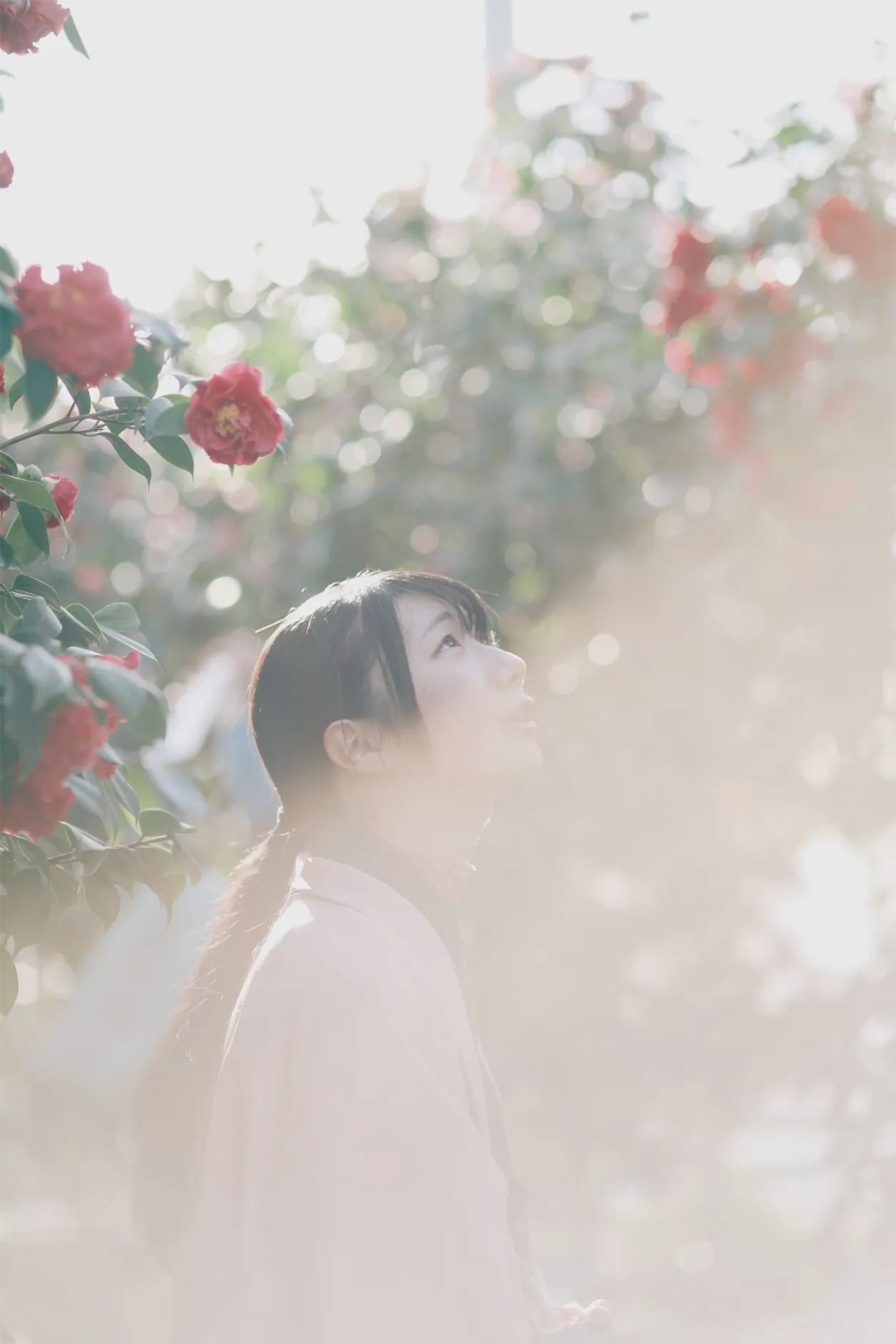 写真4