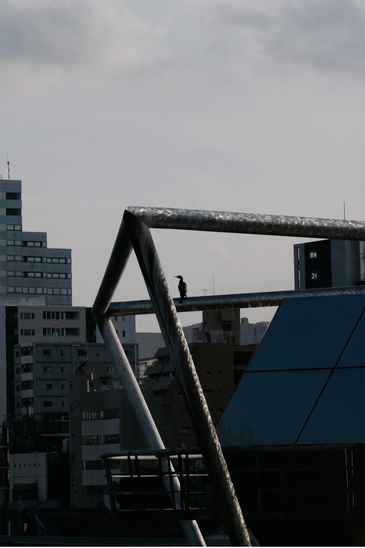 スナップ写真12